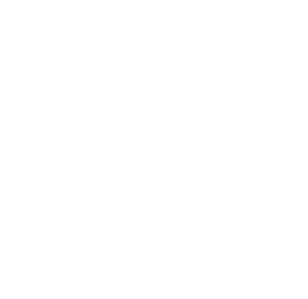 PhoqueFest